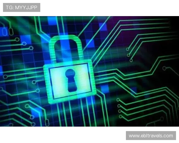 火狐视讯娱乐平台的安全防护措施与用户隐私保护策略分析